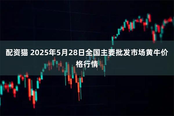 配资猫 2025年5月28日全国主要批发市场黄牛价格行情