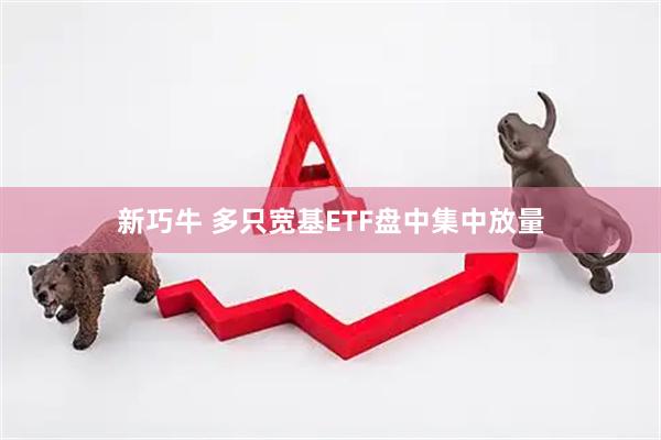 新巧牛 多只宽基ETF盘中集中放量