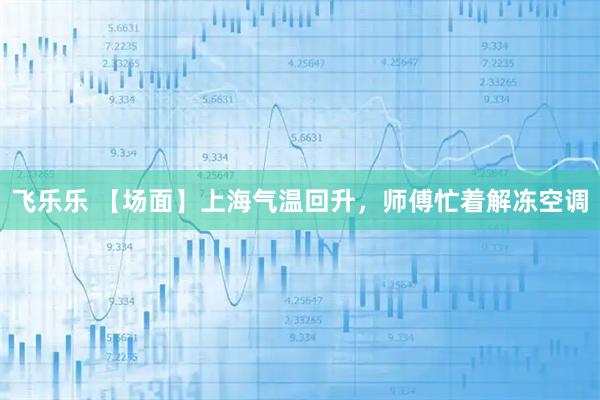 飞乐乐 【场面】上海气温回升，师傅忙着解冻空调